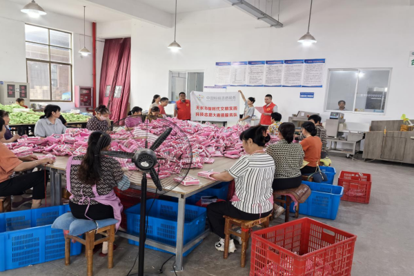 便西村開展家庭安全用電科普宣傳活動