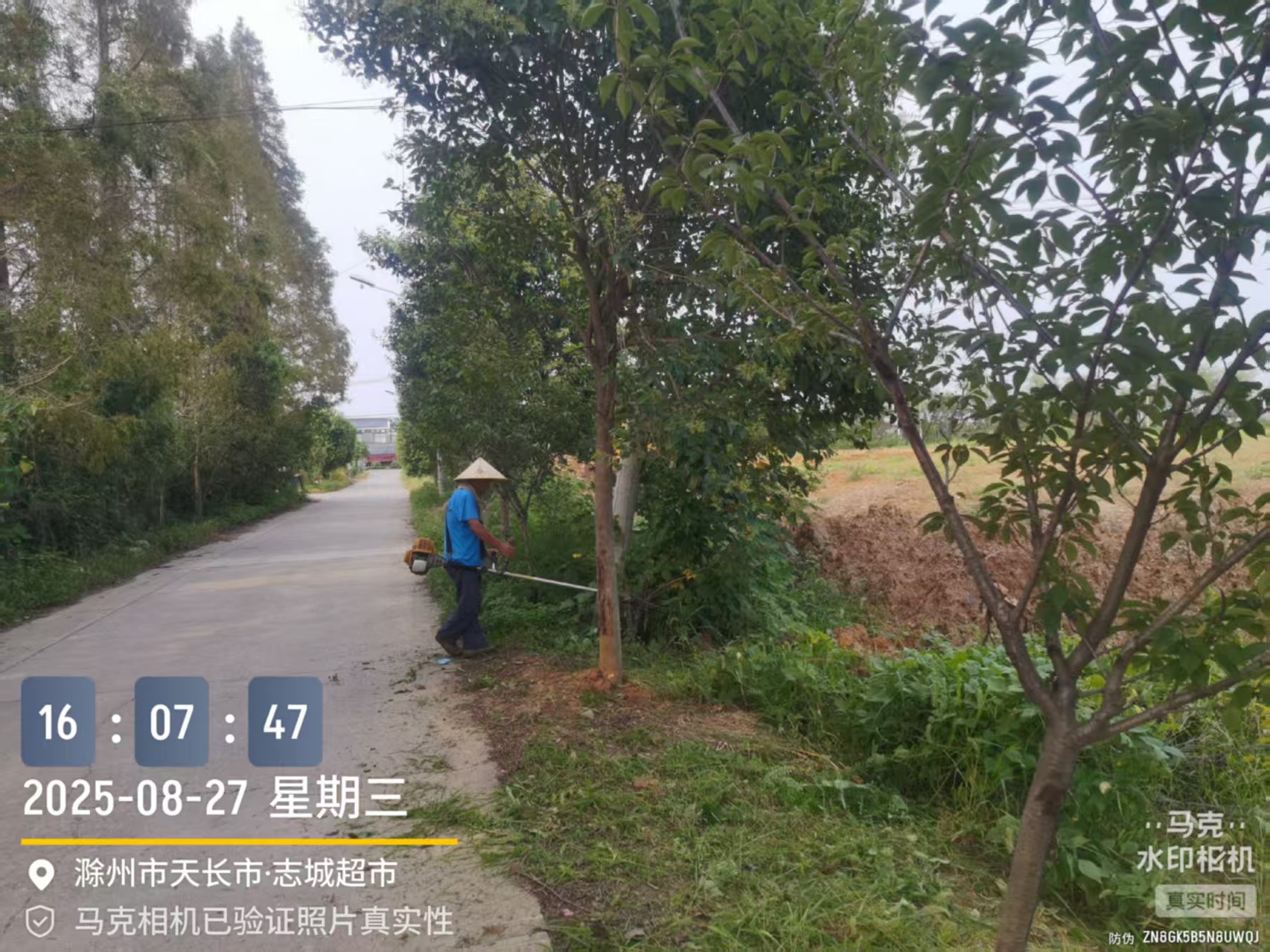 蘆柴村開展環(huán)境衛(wèi)生整治