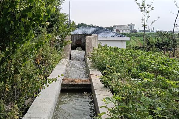 龍南村多措并舉，全力打好夏季抗旱攻堅戰