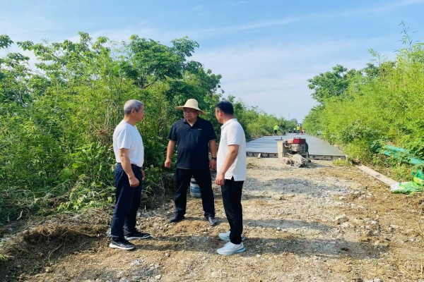 楊村鎮金埠村：深入一線督導檢查，全力推進村級道路硬化工程提質增效