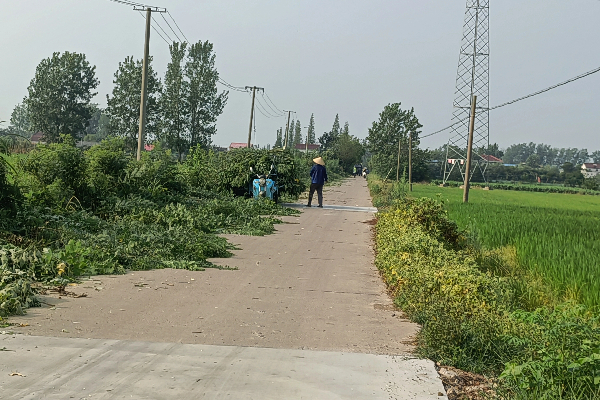 小關社區清理路邊雜草