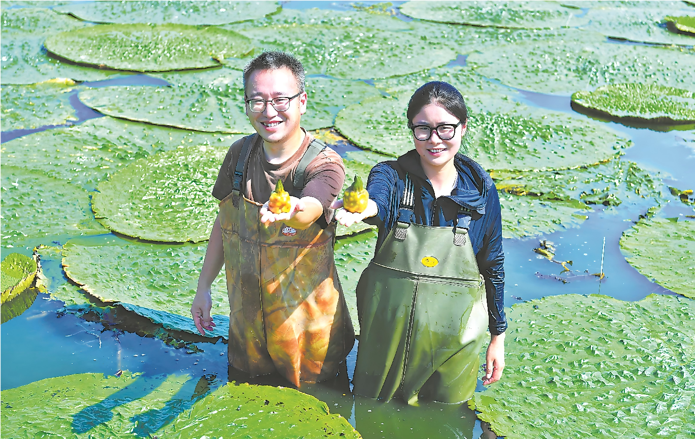 95后新農人：小芡實闖出大產業