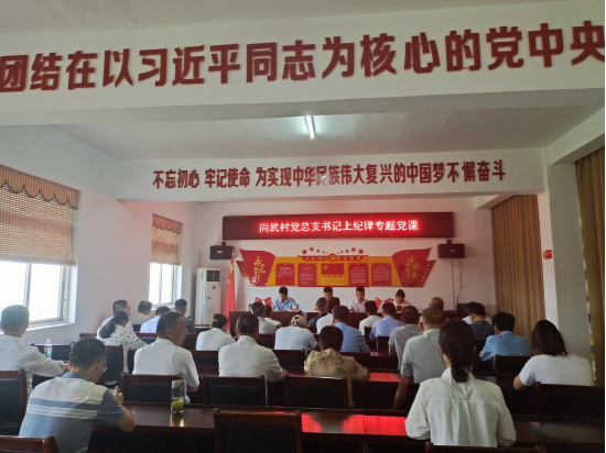 尚武村黨總支書記上紀律專題黨課